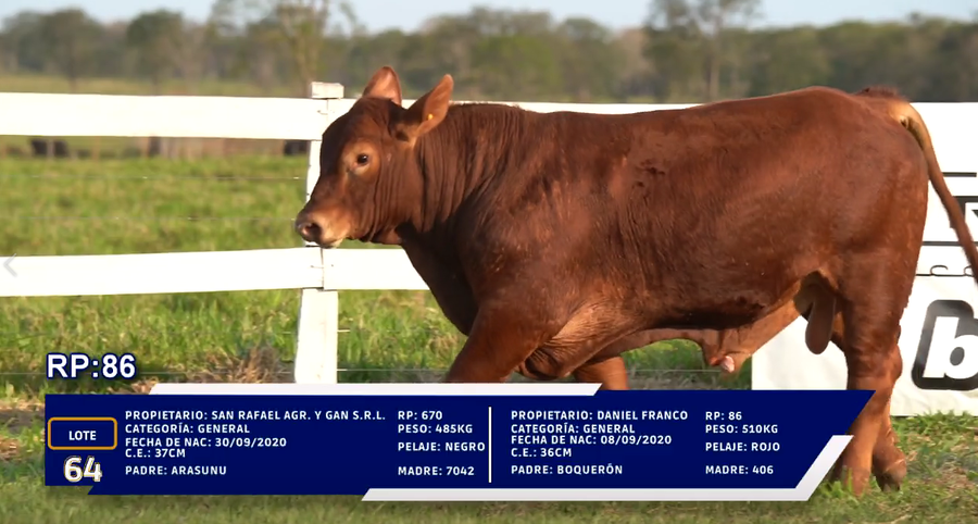 Lote LOTE  DUO -64