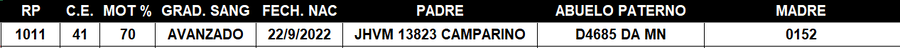 Lote LOTE 44