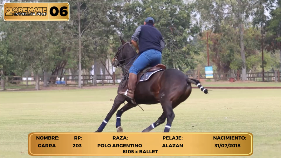 Lote LOTE 6