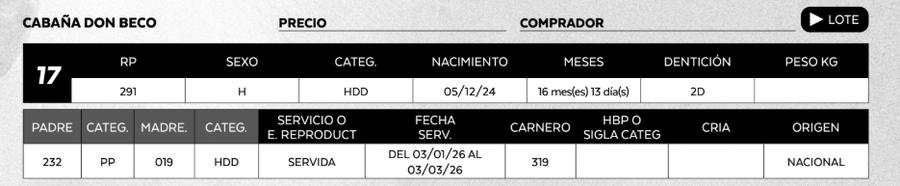 Lote LOTE 17