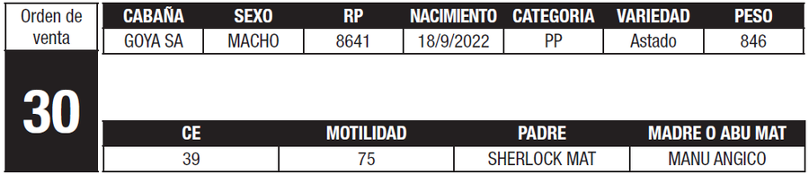 Lote LOTE 30