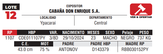 Lote LOTE 12 - DE CAMPO