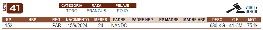 Lote LOTE 41