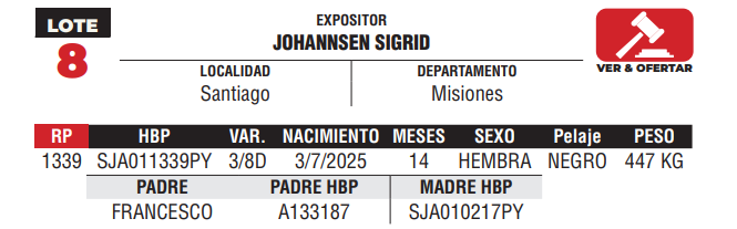 Lote LOTE 8 -JUNIOR