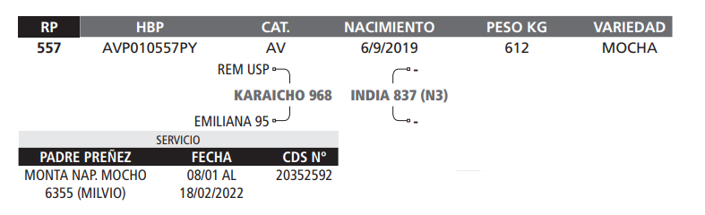Lote LOTE 8