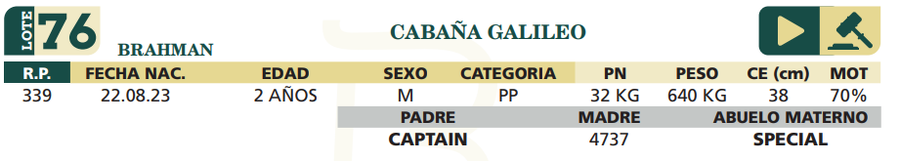 Lote LOTE 76