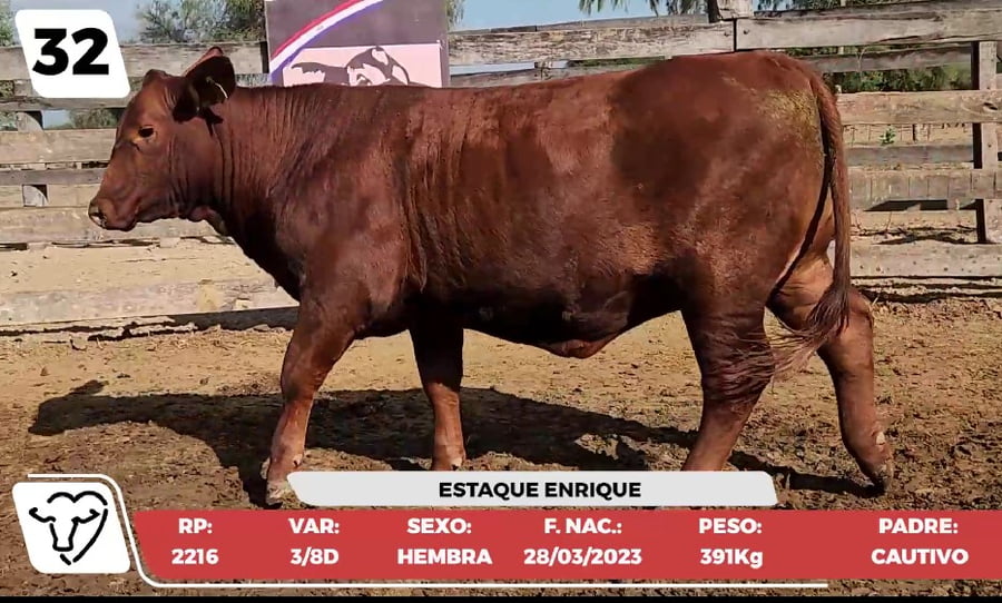 Lote LOTE 32