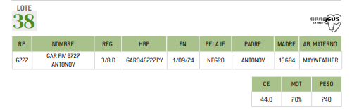 Lote LOTE 38