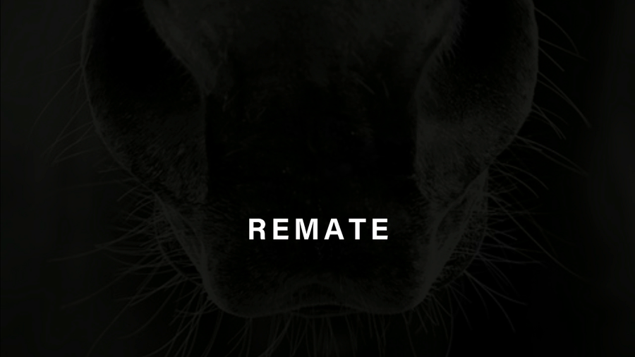 Lote IUGERUM (GLOBAL HUNTER -  INDIA SEXY)