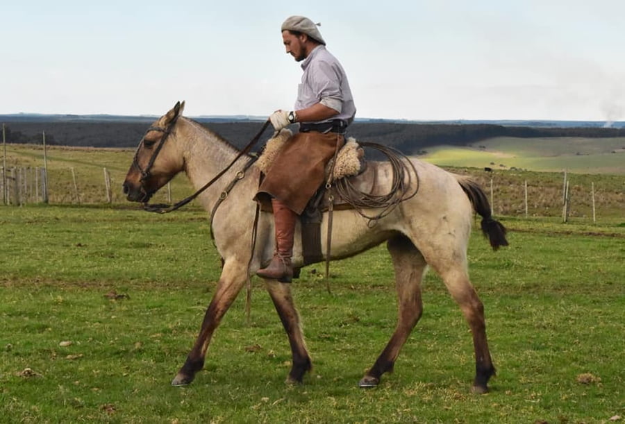 Lote Cabaña "Cimarrón" - RP 13 - Calandria El Cimarrón