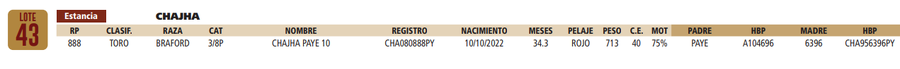 Lote LOTE 43