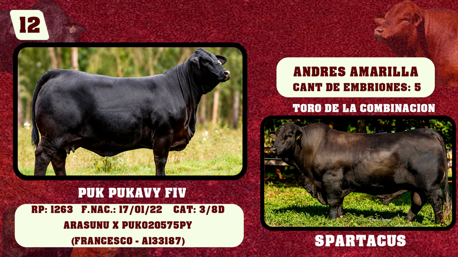 Lote LOTE 12