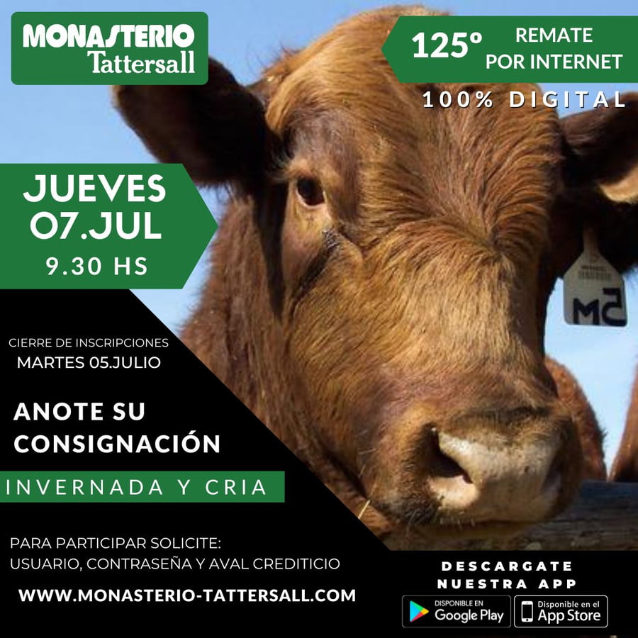 Lote 8 Terneros en Chascomús, Buenos Aires