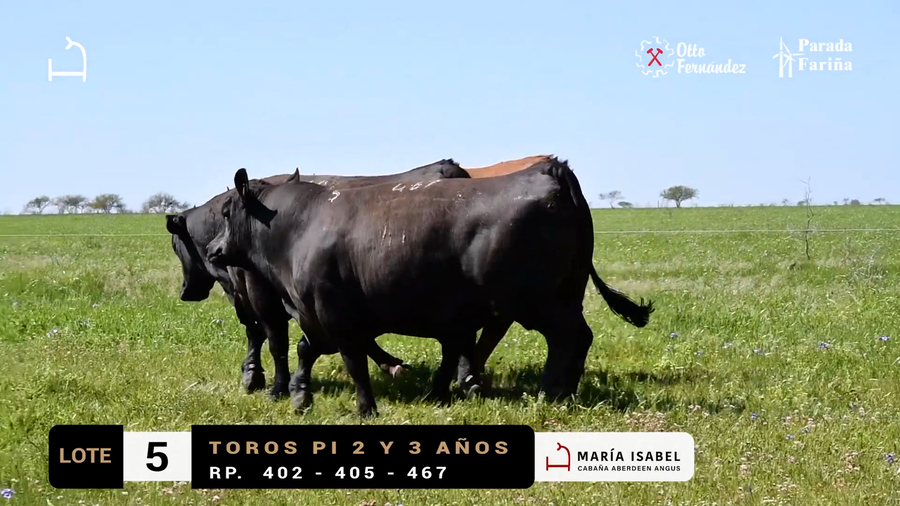 Lote LOTE 5