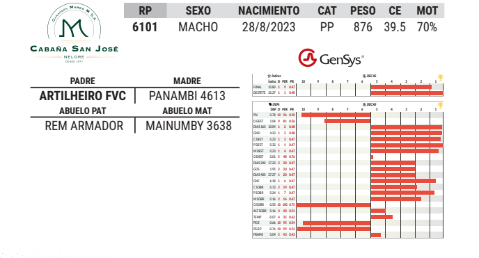Lote LOTE 39