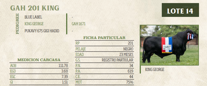Lote LOTE 14