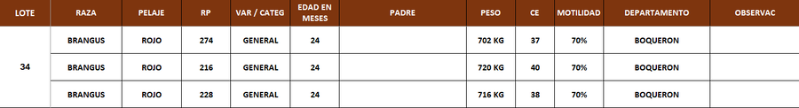 Lote LOTE 34
