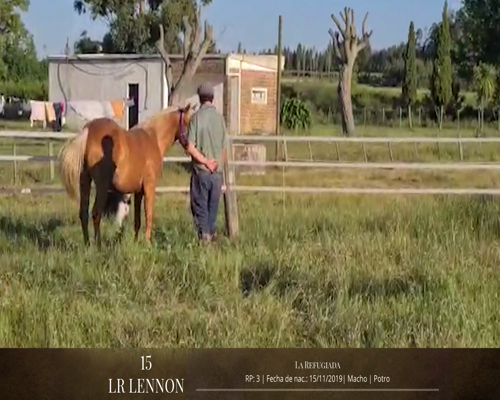 Lote Caballos a remate en 2da ESTA NOCHE BAYA, San José