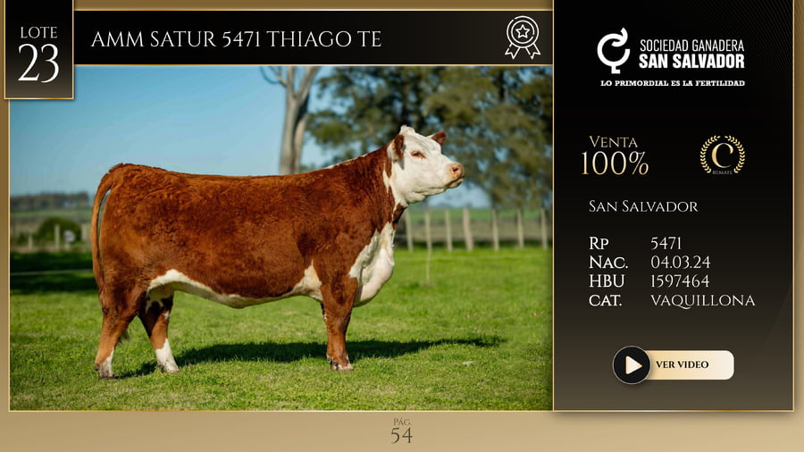 Lote AMM SATUR 5471 THIAGO TE