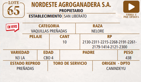 Lote LOTE 65 -EN VIVO