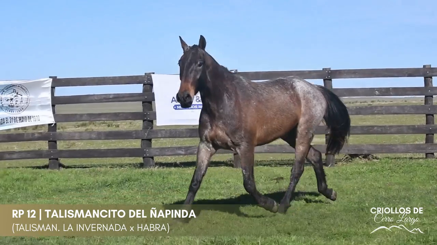 Lote Talismancito del Ñapinda
