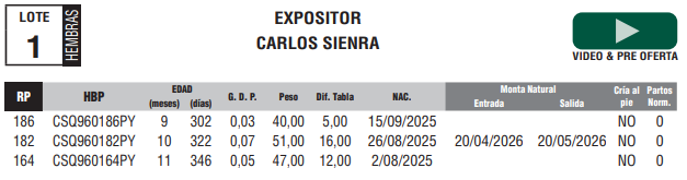 Lote LOTE 1