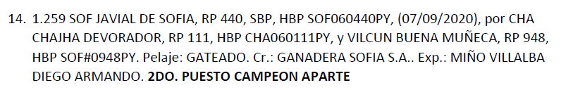 Lote LOTE 14