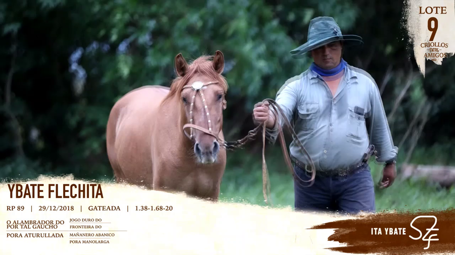 Lote YBATE FLECHITA RP 89