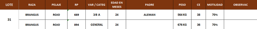 Lote LOTE 31