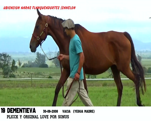 Lote DEMENTIEVA