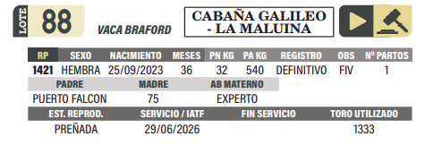 Lote LOTE 88