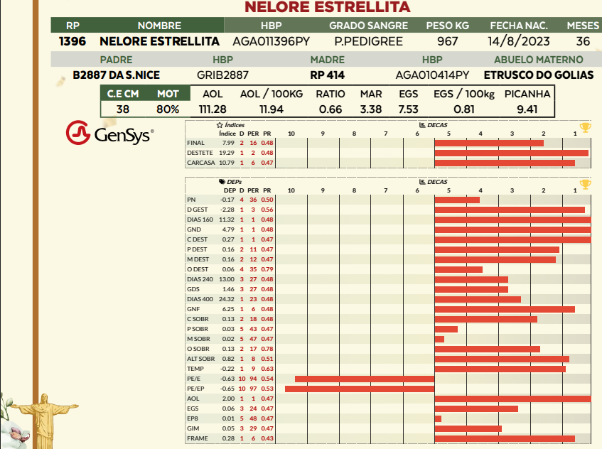 Lote LOTE 24