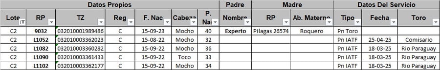 Lote 5 Vaquillonas preñadas