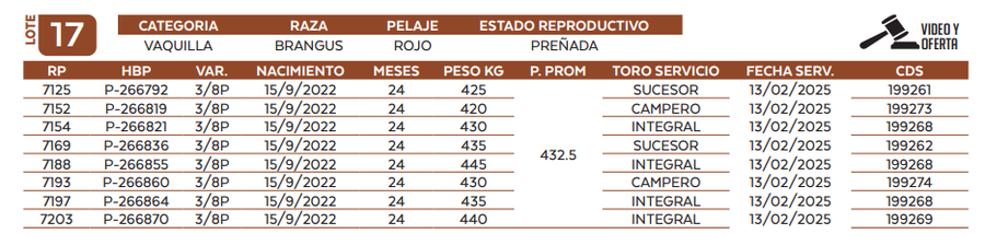 Lote LOTE 17