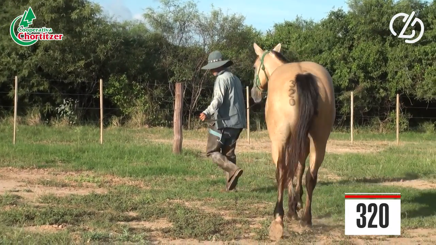 Lote Cuarto de Milla