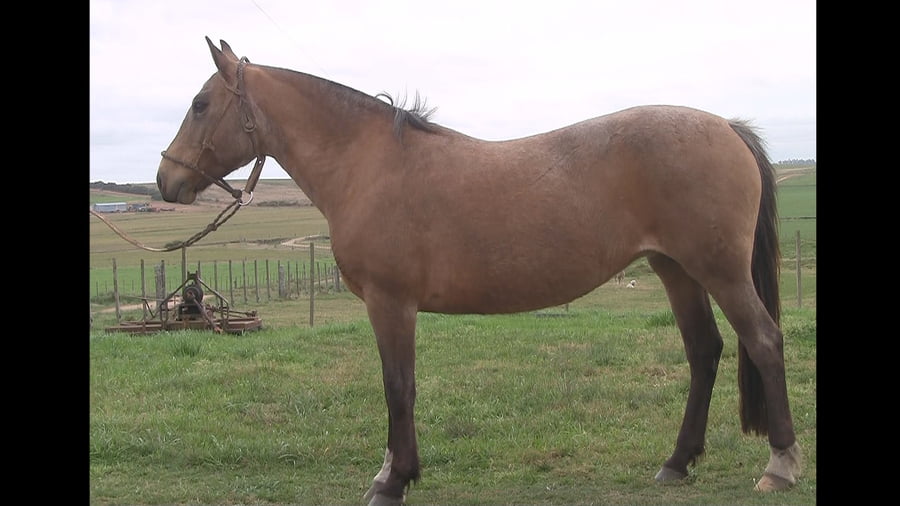 Lote De Chiripa (RP 69) - Cabaña "La Patria"