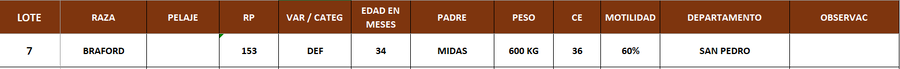 Lote LOTE 7