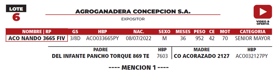 Lote LOTE 6