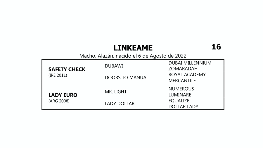Lote LINKEAME (SAFETY CHECK -  LADY EURO por  MR.LIGHT)