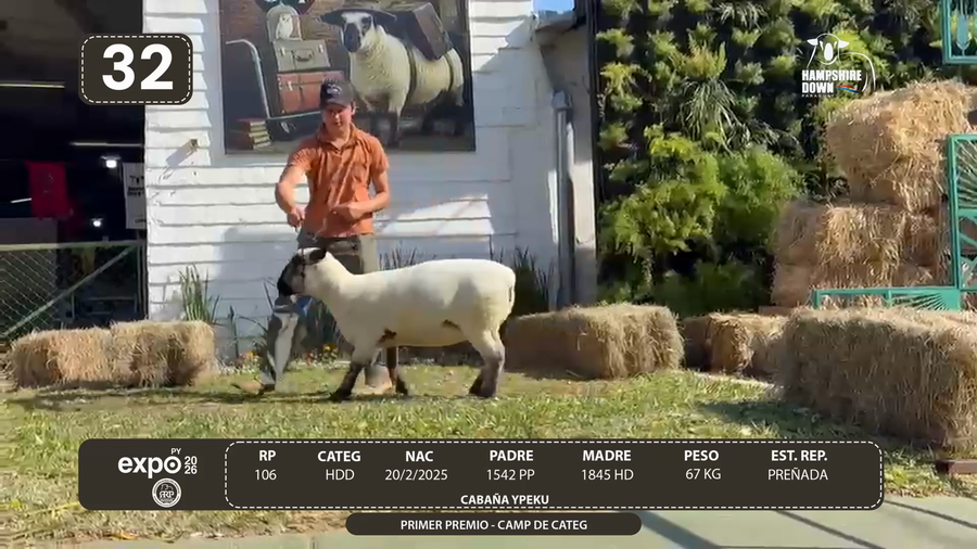 Lote LOTE 32 - BOZAL