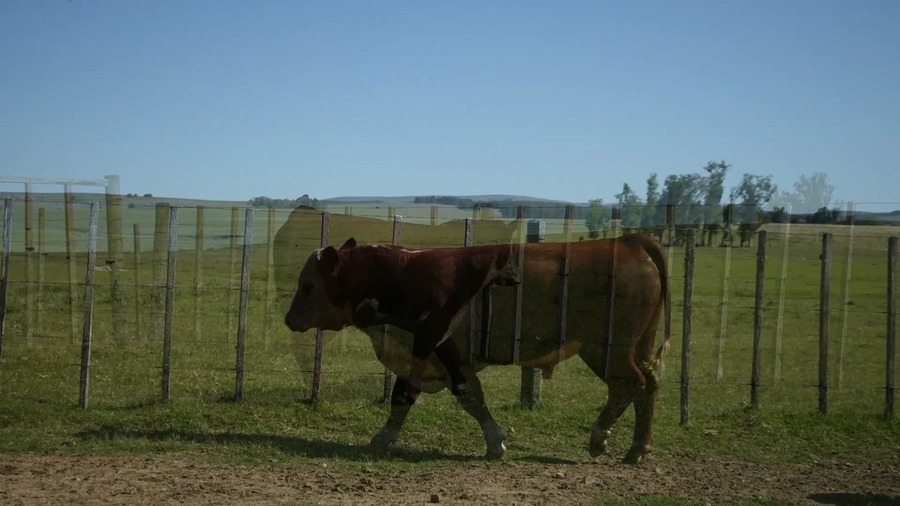 Lote "Valle Del Laurel" , RP 1035