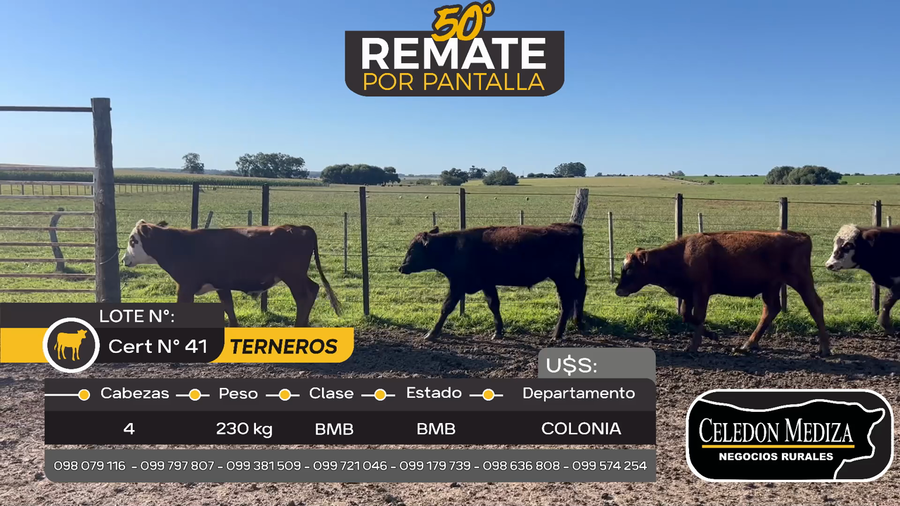 Lote 4 Terneros en Otra Localidad, Colonia