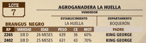 Lote LOTE 7 - VIVO