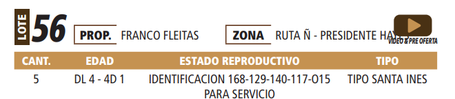 Lote LOTE 56 -POR PANTALLA