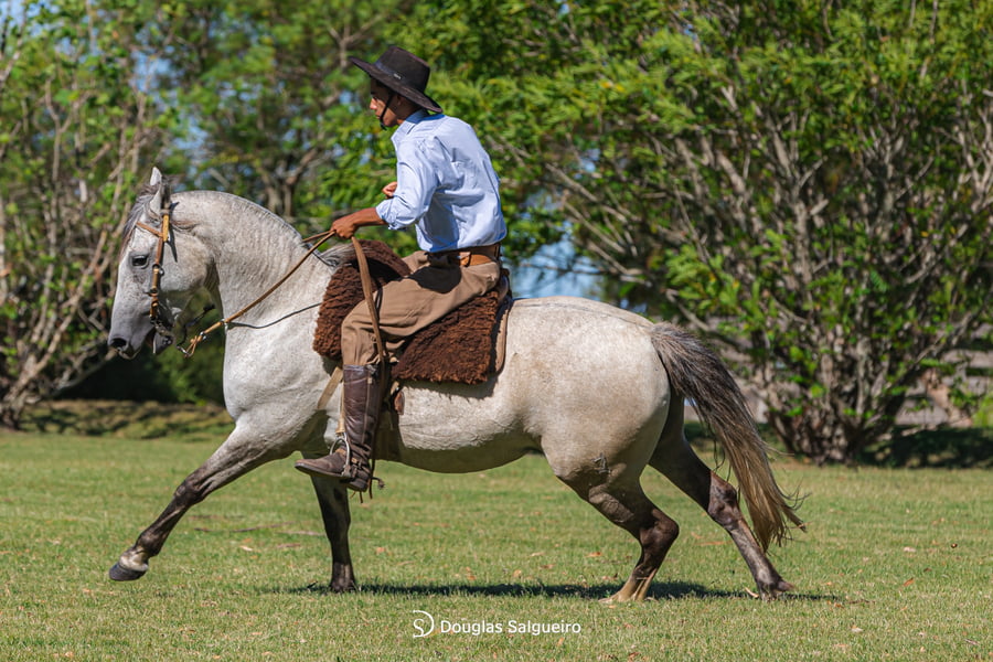 Lote KE GRACIA DE LA COLINA