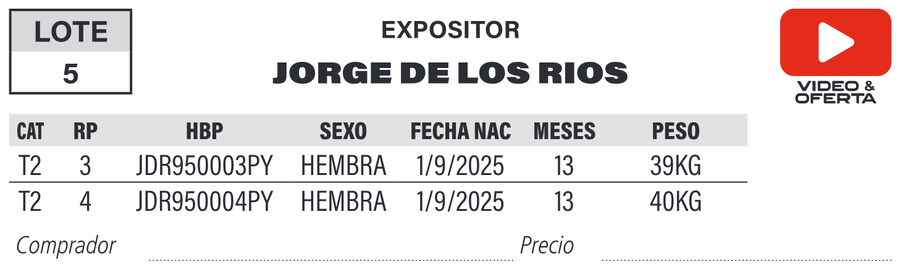 Lote LOTE 5