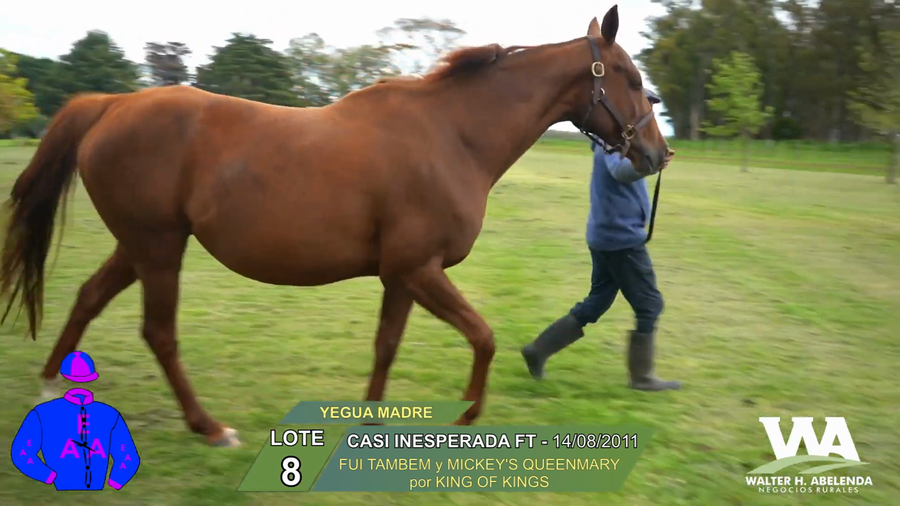 Lote CASI INESPERADA FT