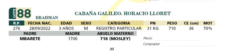 Lote LOTE 88