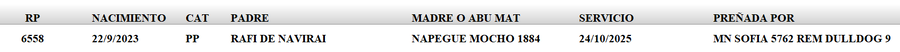 Lote LOTE 6