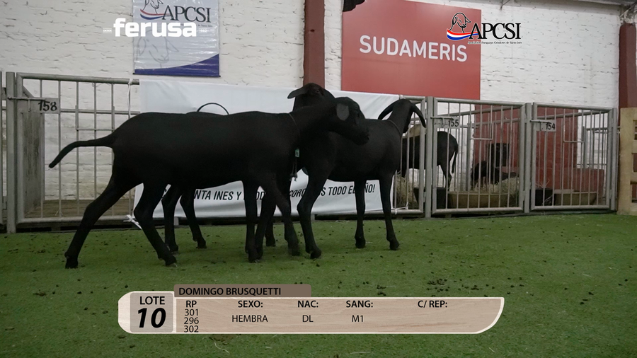 Lote Nacional Santa Inés Campo - Lote 10